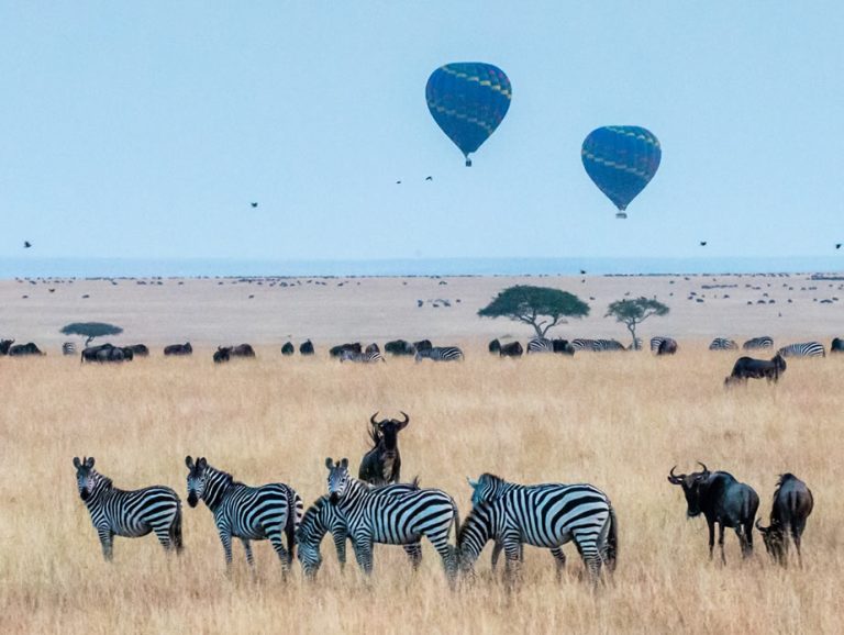 4 Days Kenya Safari - Amboseli National Park and Masai Mara Nationa_3