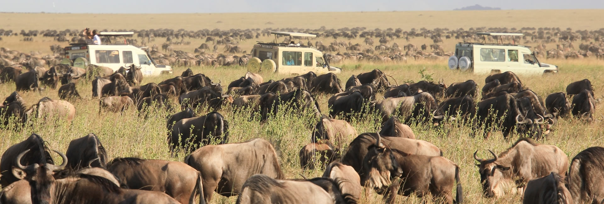 Read more about the article 2 Days Masai Mara