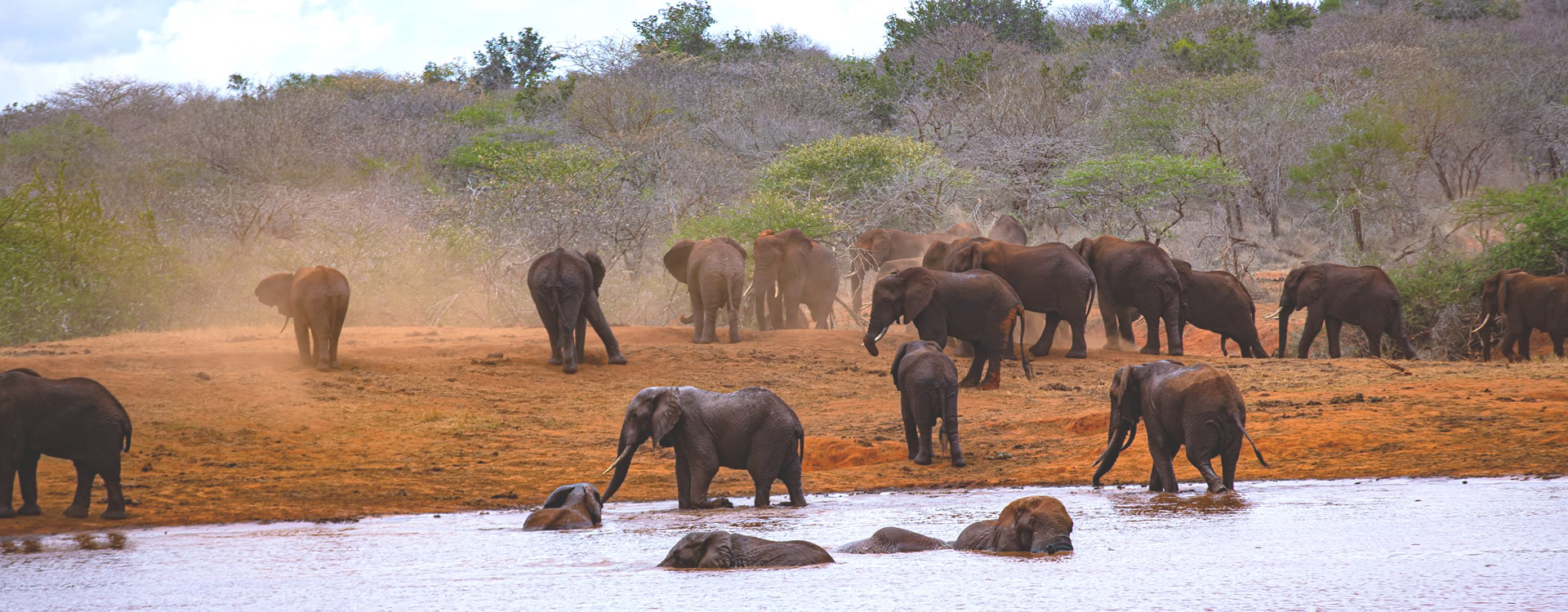 Read more about the article 3 Days Tsavo East  And Amboseli