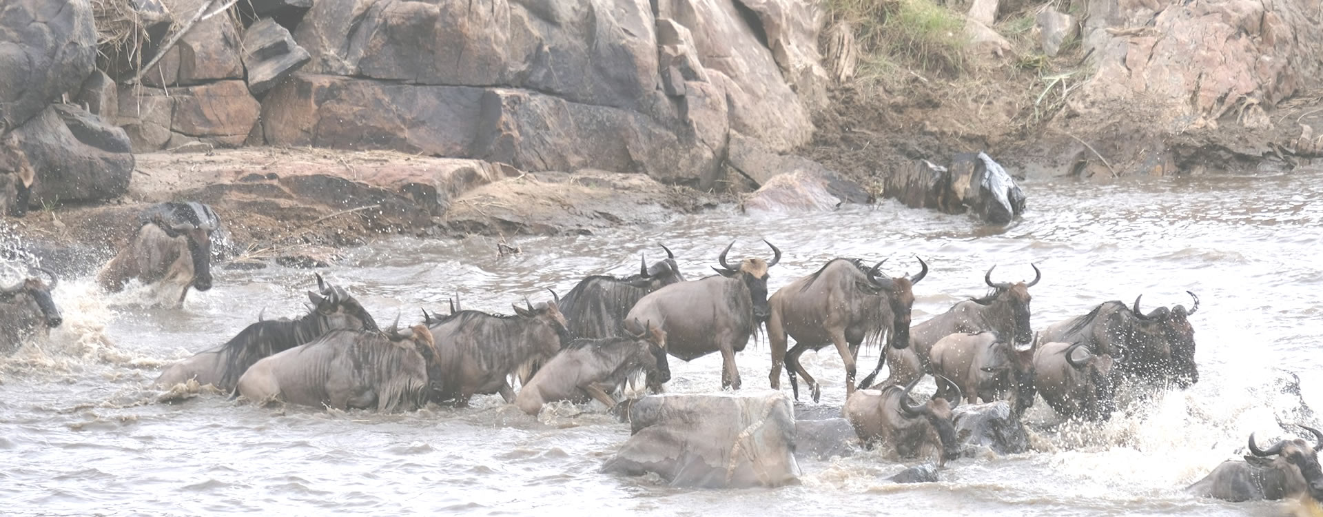 Read more about the article 3 Days Masai Mara Air safari